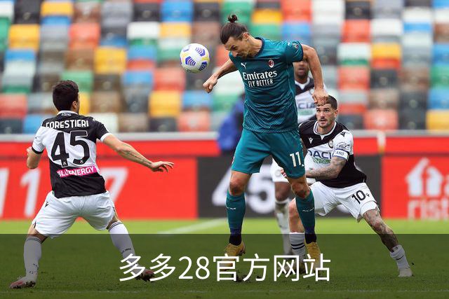 多多28官方网站公司简介